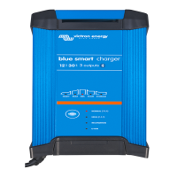 PRODUCT IMAGE: CHARGER BLUE POWER